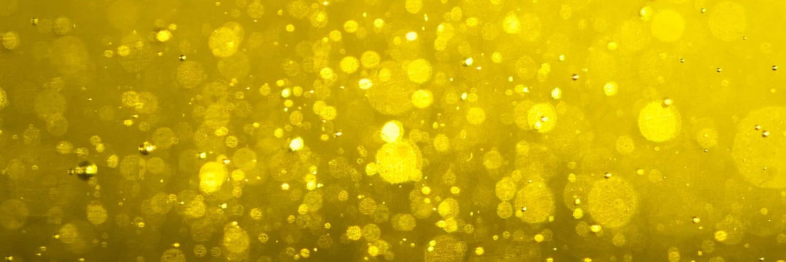 Industrial Seed Oils Unmasked: Their Controversial History, Potential Risks, and Smarter Alternatives