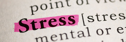 Stress and Cortisol: The Sneaky Culprits Keeping You Fat, Sick, and Sad